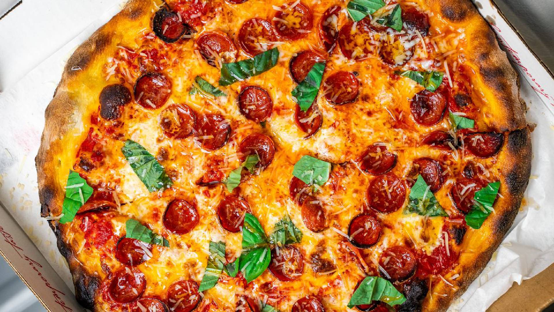 Best Pizza Spots in Charlotte