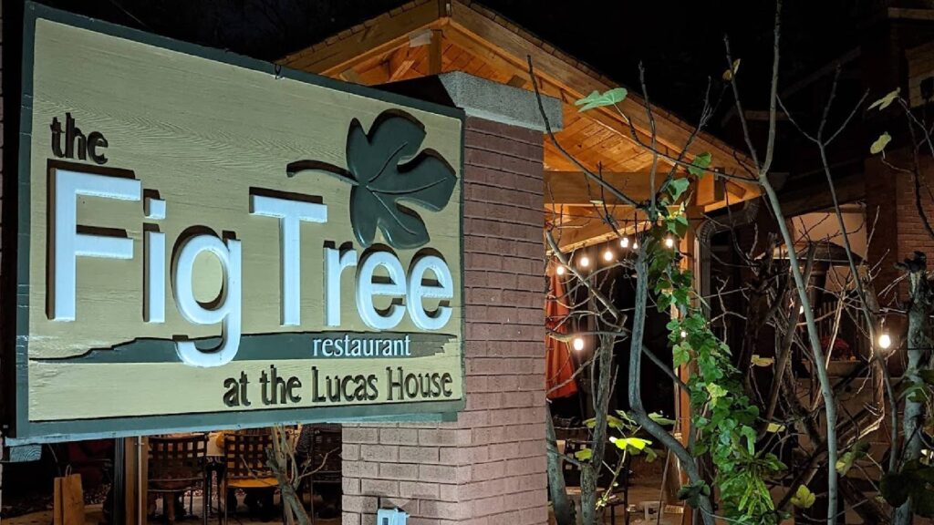 Fancy Restaurants in Charlotte-The Fig Tree Restaurant