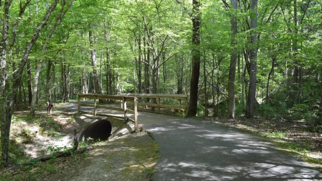 Must-Visit Mountains near Charlotte-McDowell Nature Center