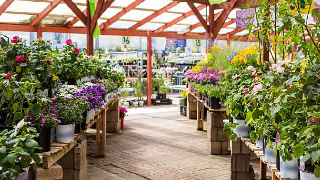 Plant Shops and Nurseries in Charlotte-Banner Nursery & Garden Center