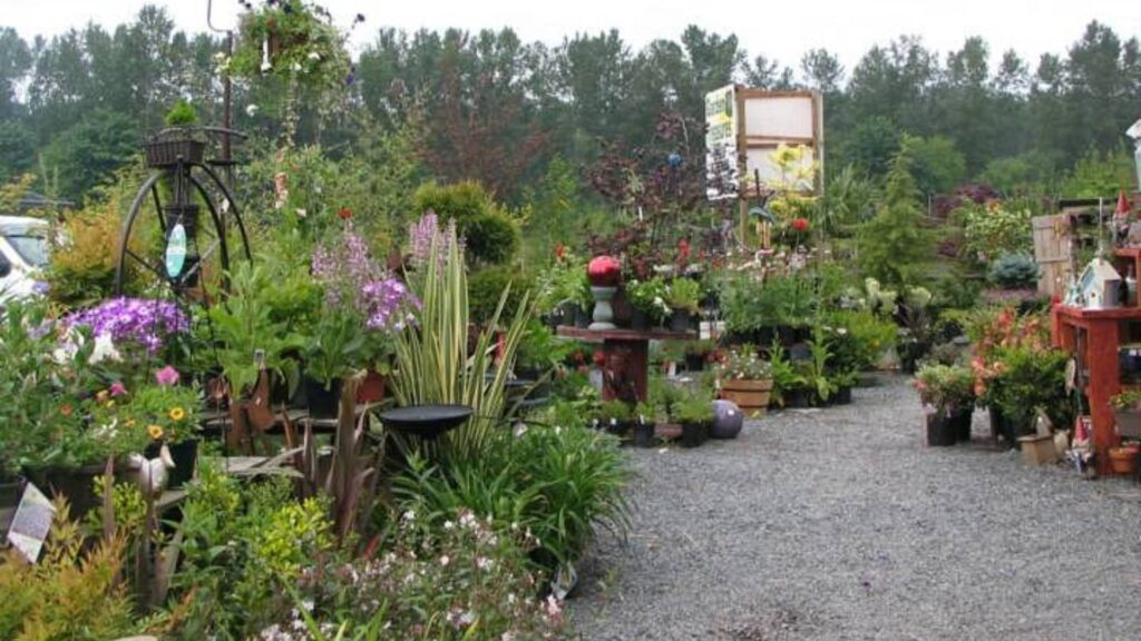 Plant Shops and Nurseries in Charlotte-King's Greenhouse