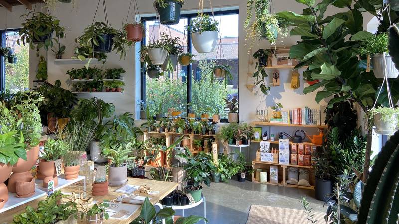Plant Shops and Nurseries in Charlotte, NC