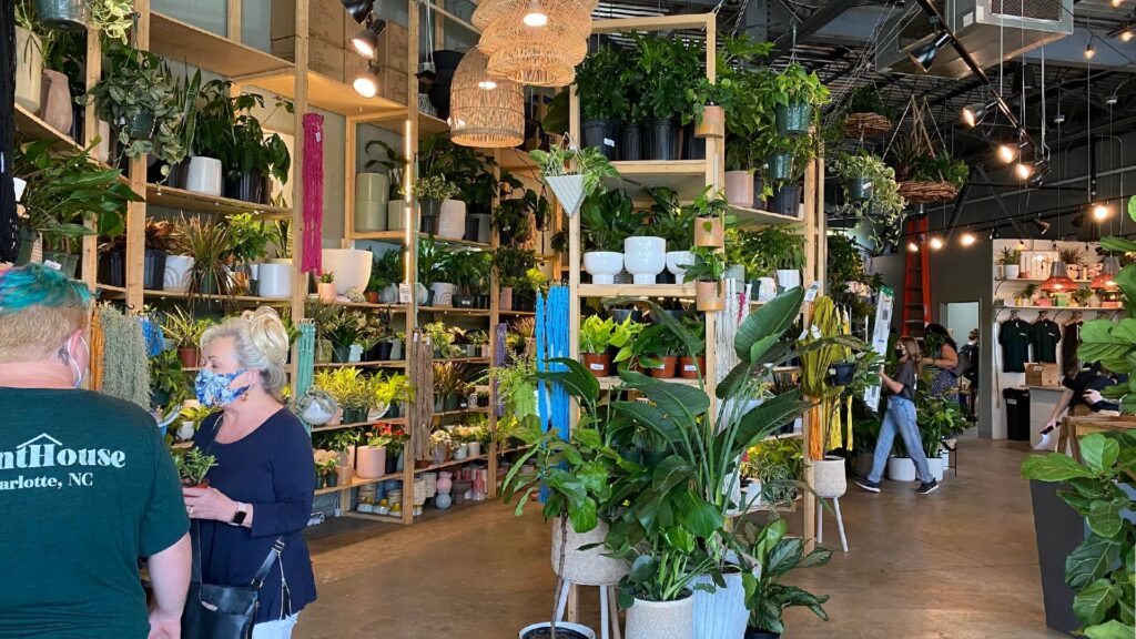 Plant Shops and Nurseries in Charlotte-PlantHouse