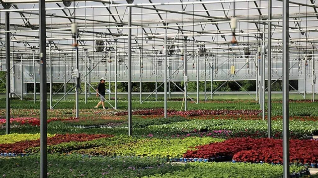 Plant Shops and Nurseries in Charlotte-Rountree Nursery & Supply