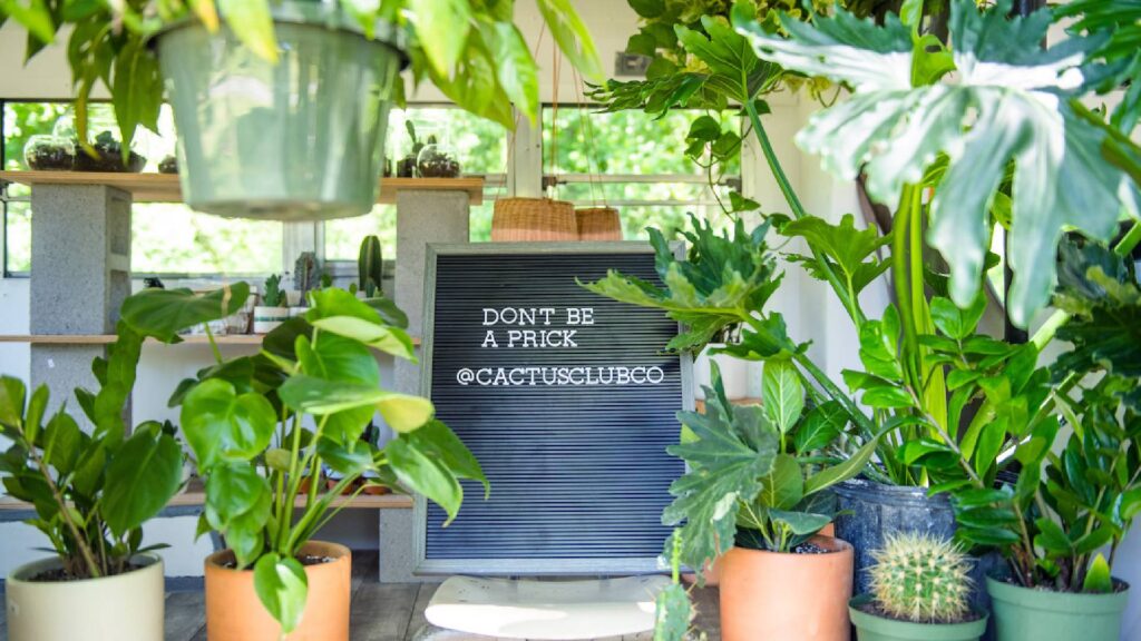 Plant Shops and Nurseries in Charlotte-The Cactus Club 